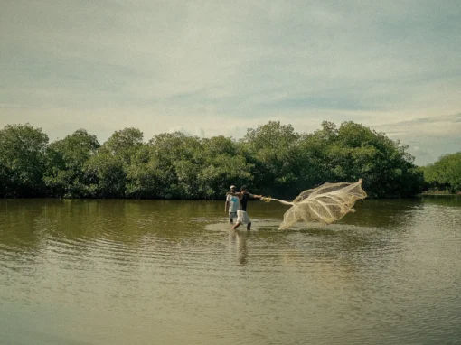 El Legado de las Olas 1