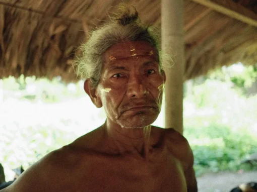 El Legado de las Olas 6