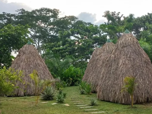 El Legado de las Olas 7