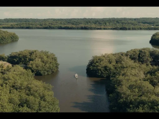 El Legado de las Olas 8