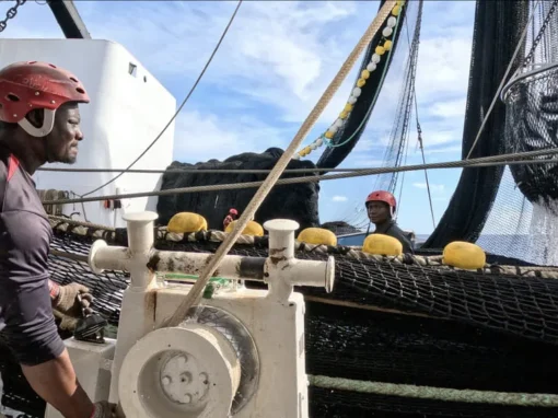 ITSAS TXORI 2_21_11zon