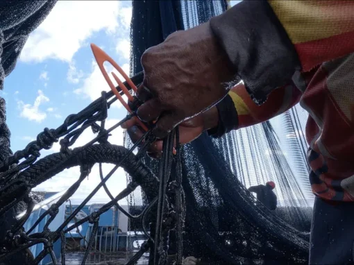 ITSAS TXORI 32_22_11zon