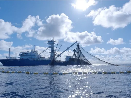 ITSAS TXORI 36_24_11zon