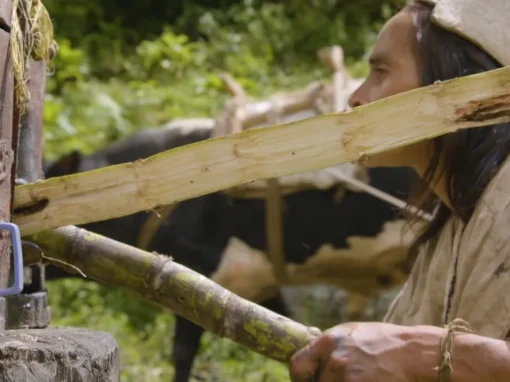 Untitled_1.1.13_3_11zon