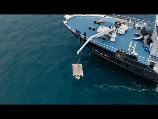 Untitled_1.1.15_8_11zon