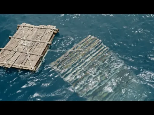 Untitled_1.1.17_9_11zon