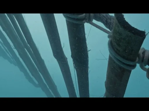 Untitled_1.1.19_11_11zon