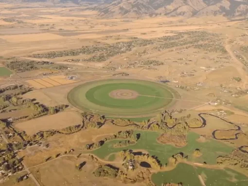 vlcsnap-2025-06-12-12h06m19s086_3_11zon