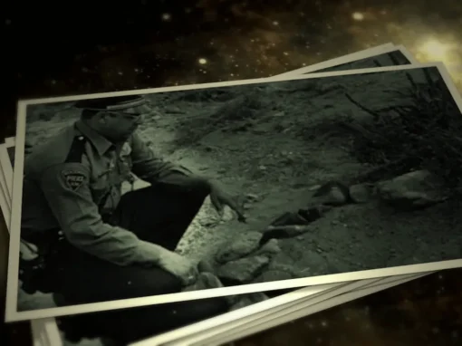 vlcsnap-2025-06-12-12h07m18s960_6_11zon