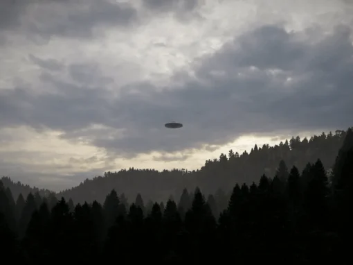 vlcsnap-2025-06-12-12h07m27s342_7_11zon