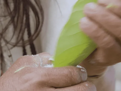 vlcsnap-2025-06-17-10h20m52s578_5_11zon