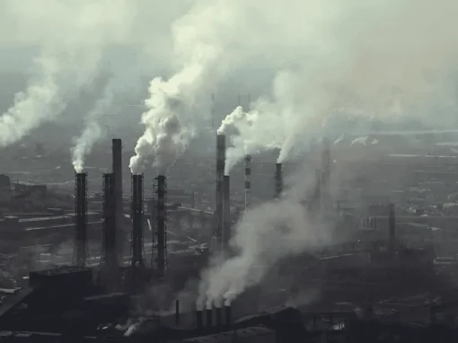 vlcsnap-2025-06-17-10h28m36s262_6_11zon