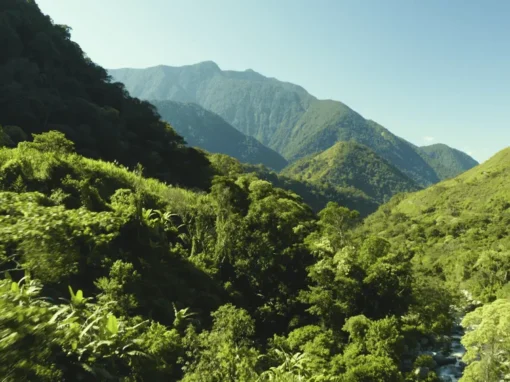 vlcsnap-2025-06-17-10h29m20s353_7_11zon